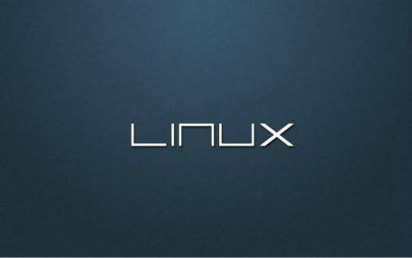 Linux技术