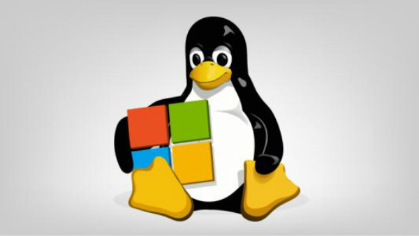 Linux入门学习